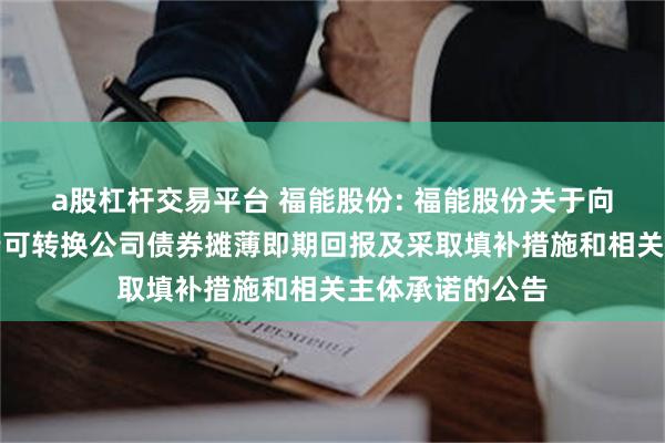 a股杠杆交易平台 福能股份: 福能股份关于向不特定对象发行可转换公司债券摊薄即期回报及采取填补措施和相关主体承诺的公告