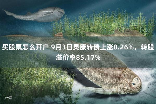 买股票怎么开户 9月3日灵康转债上涨0.26%，转股溢价率85.17%