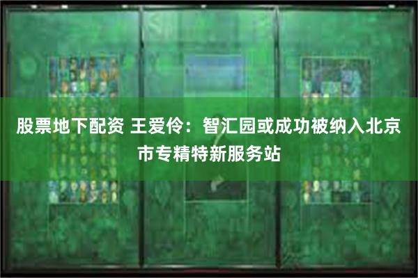 股票地下配资 王爱伶：智汇园或成功被纳入北京市专精特新服务站