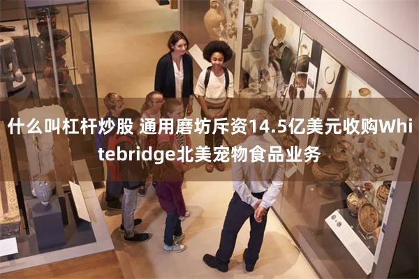 什么叫杠杆炒股 通用磨坊斥资14.5亿美元收购Whitebridge北美宠物食品业务