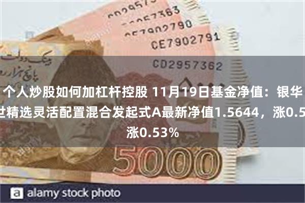 个人炒股如何加杠杆控股 11月19日基金净值：银华盛世精选灵活配置混合发起式A最新净值1.5644，涨0.53%