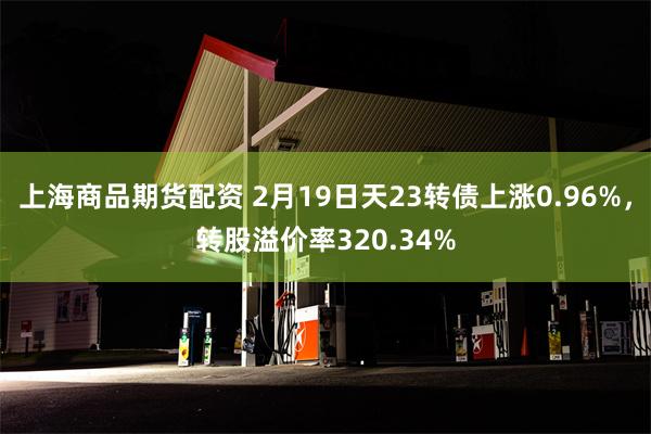 上海商品期货配资 2月19日天23转债上涨0.96%，转股溢价率320.34%