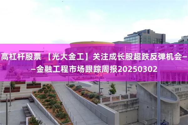 高杠杆股票 【光大金工】关注成长股超跌反弹机会——金融工程市场跟踪周报20250302