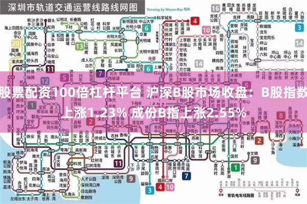 股票配资100倍杠杆平台 沪深B股市场收盘：B股指数上涨1.23% 成份B指上涨2.55%