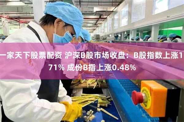 一家天下股票配资 沪深B股市场收盘：B股指数上涨1.71% 成份B指上涨0.48%