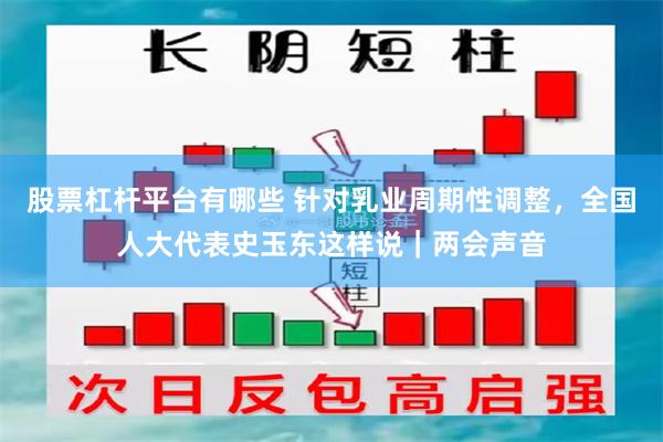 股票杠杆平台有哪些 针对乳业周期性调整，全国人大代表史玉东这样说｜两会声音